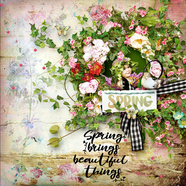 Spring in Bloom