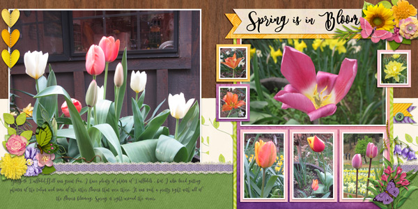 Spring in Bloom