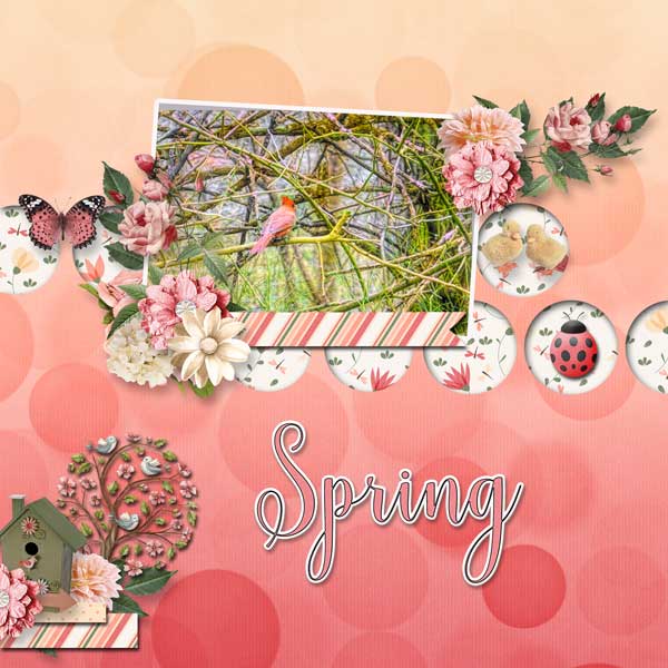 Spring in Bloom