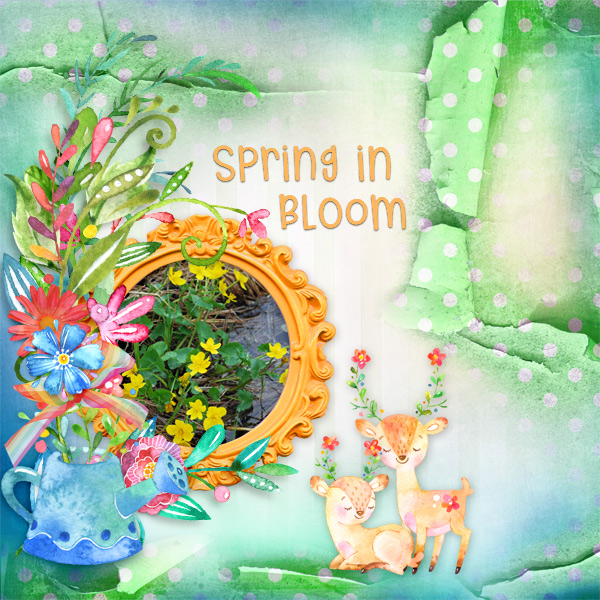 Spring-in-bloom