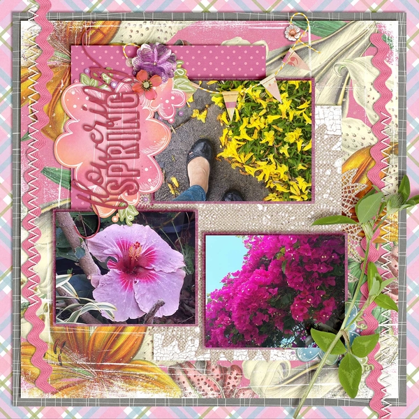 Spring in Bloom!