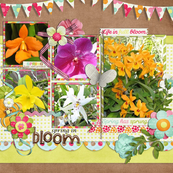 spring in bloom
