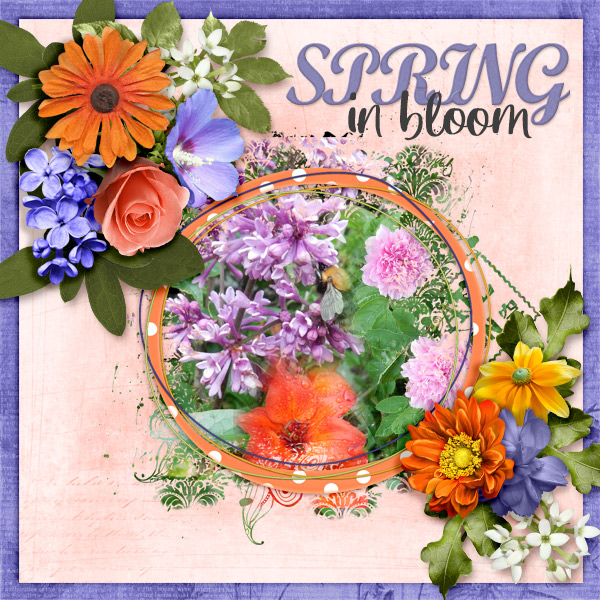 Spring-in-bloom2