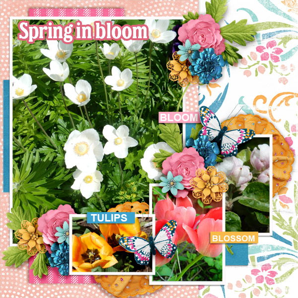 Spring-in-bloom3