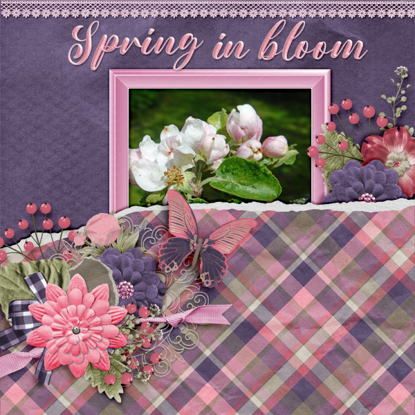 Spring-in-bloom4