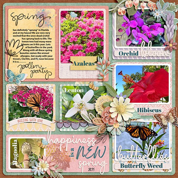 Spring-in-Florida-MFish_StoryBlocks5_03-copy600.jpg