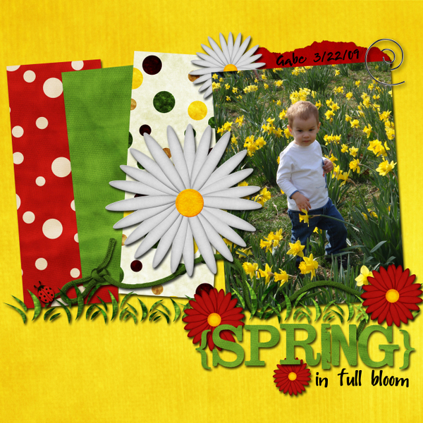 Spring in Full Bloom