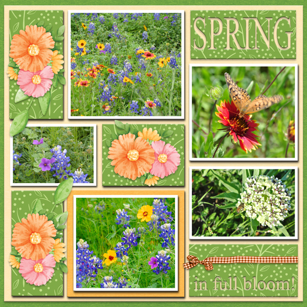 Spring in full bloom!