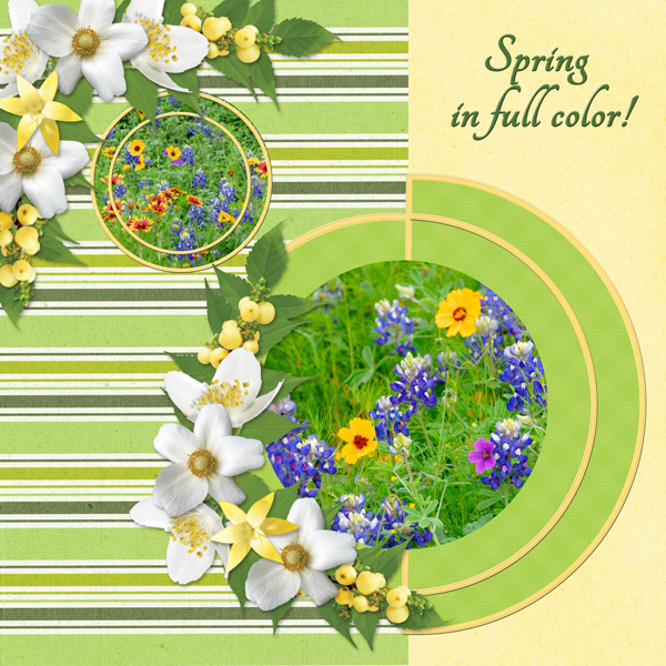Spring in full color