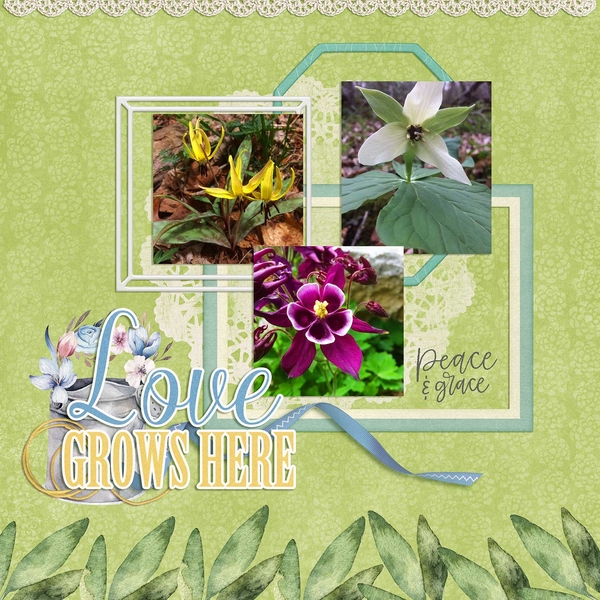 Spring in Maggie Valley