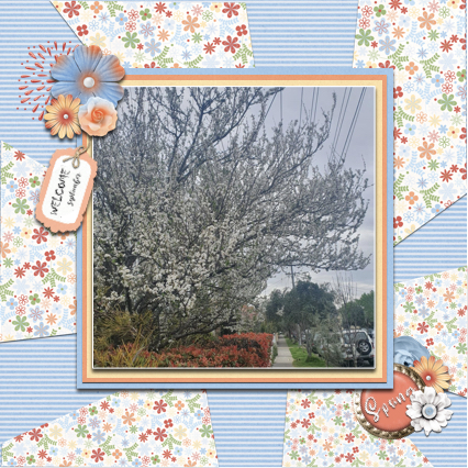Spring in Melbourne