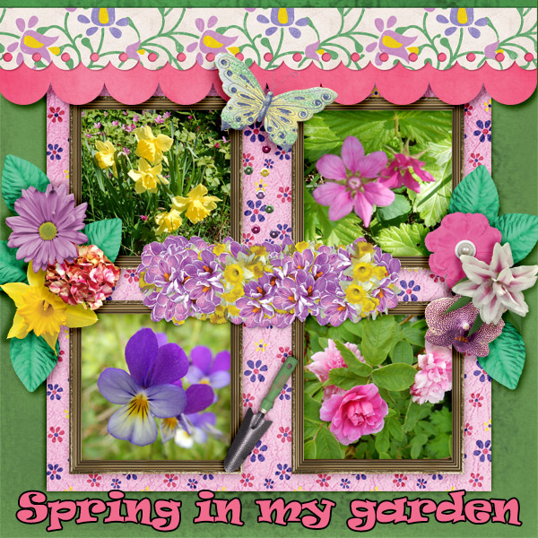Spring-in-my-garden1