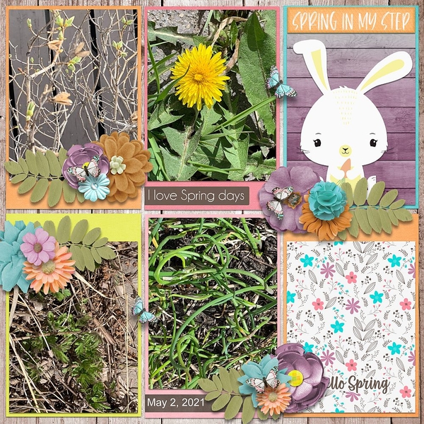 Spring in my Step