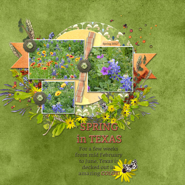 SPRING in TEXAS