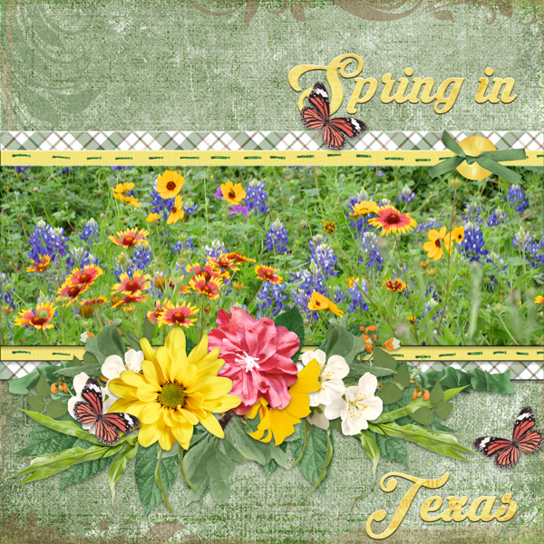 Spring in Texas