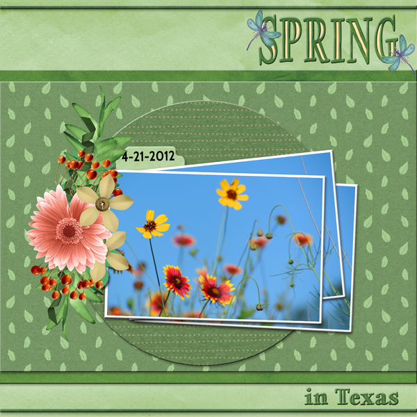 Spring in Texas