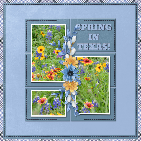 Spring in Texas