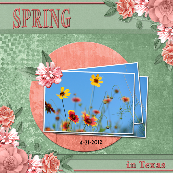 Spring in Texas