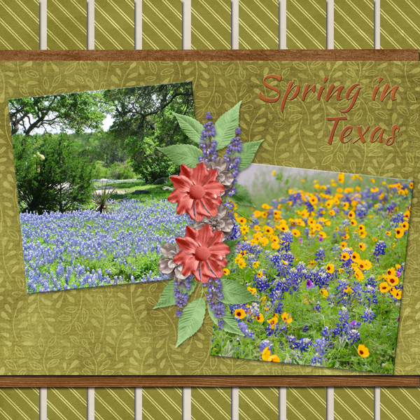 Spring in Texas