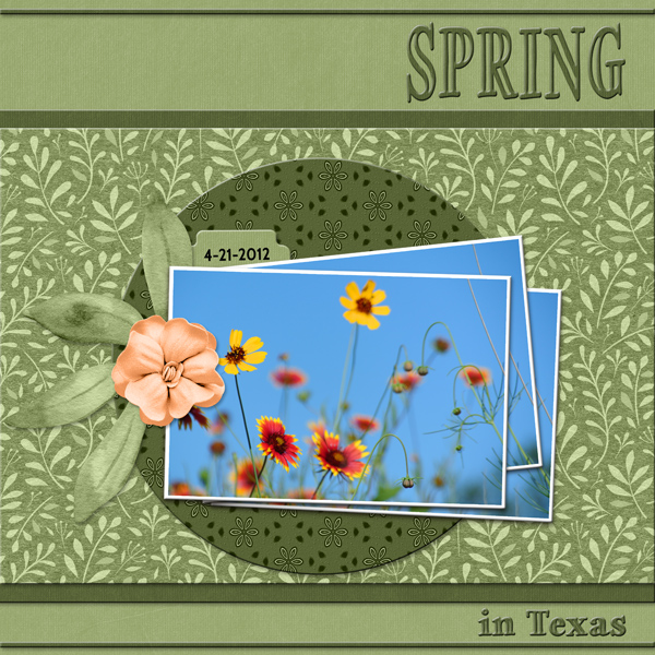 SPRING in Texas
