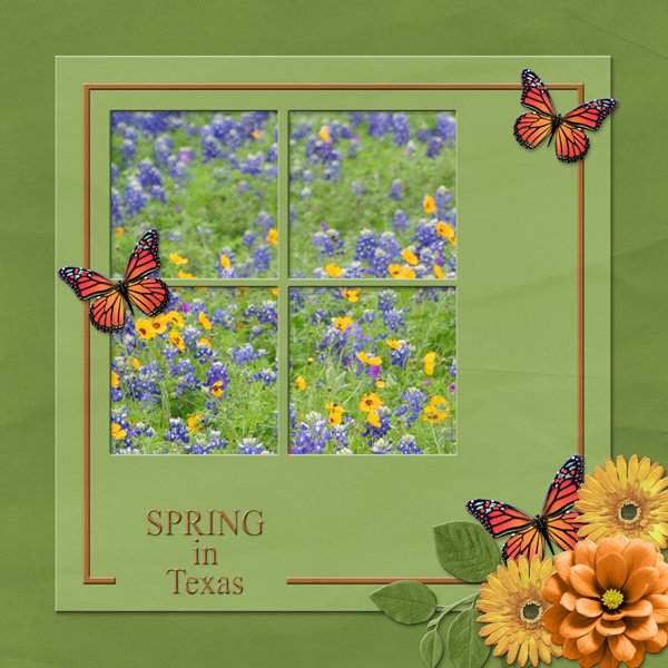 SPRING IN TEXAS