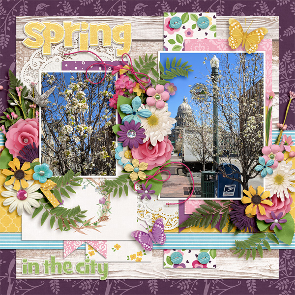 spring in the city
