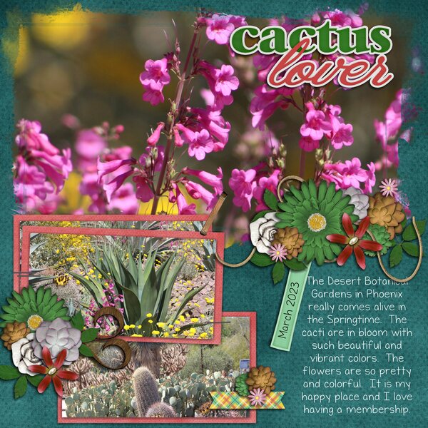 Spring In The Desert
