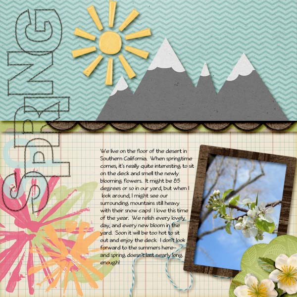 Spring in the Desert