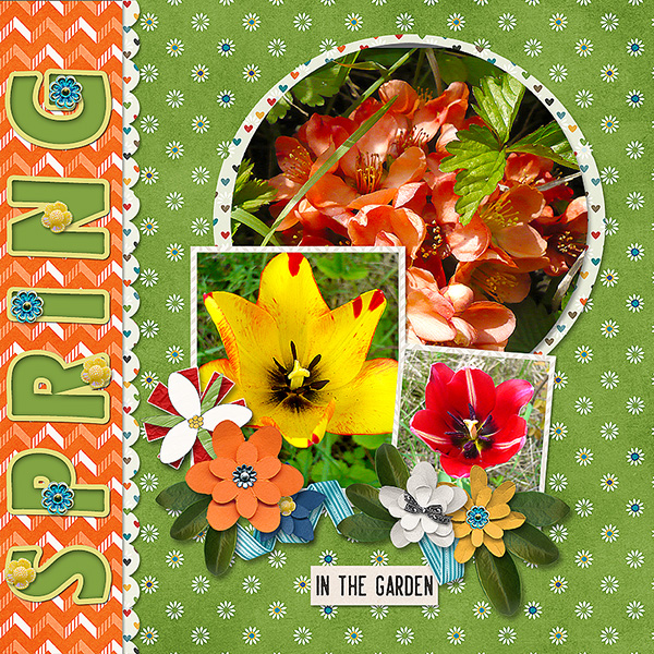 Spring In The Garden