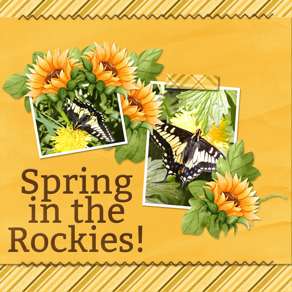 Spring in the Rockies!