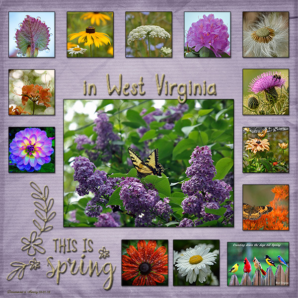 Spring In WV