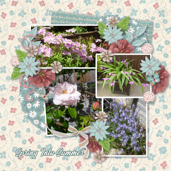 Spring into Summer