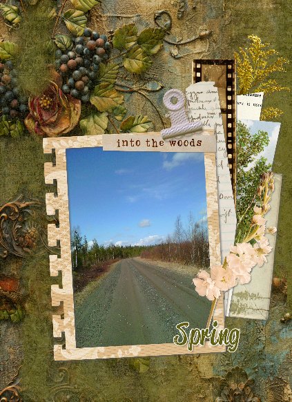 spring into the woods.jpg