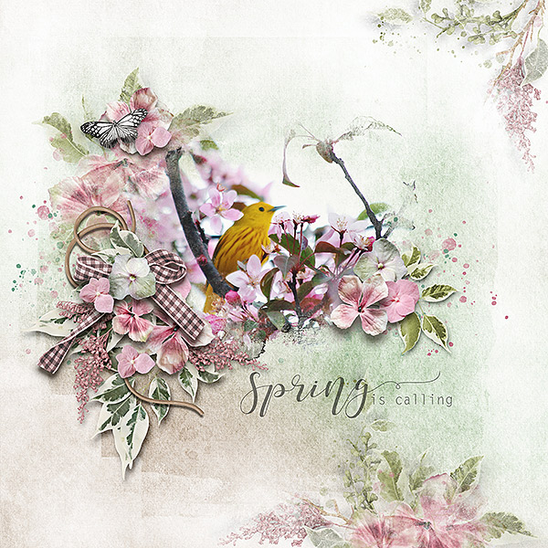 spring is calling
