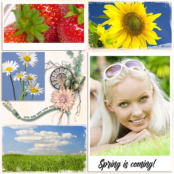 Spring is Coming.jpg