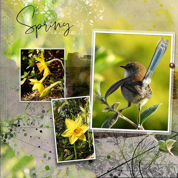 SPRING IS COMING (RIGHT)