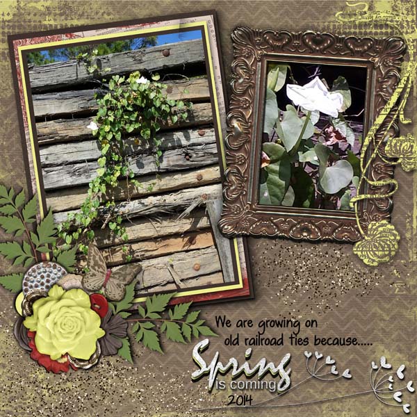 Spring is coming