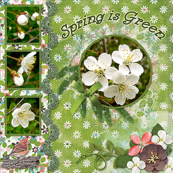 Spring Is Green