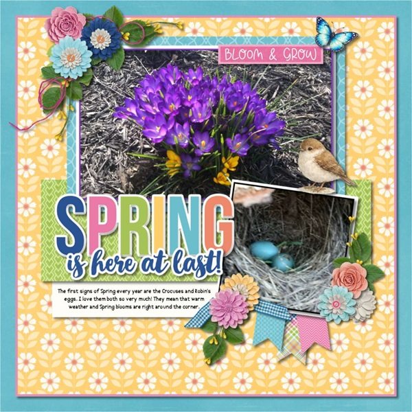 Spring is here at last.jpg