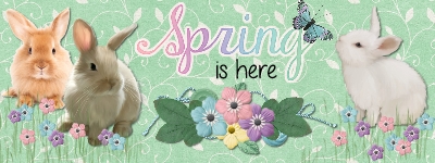 Spring is here FB header