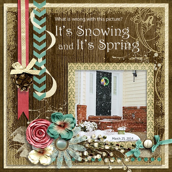 Spring Is Here March 25, 2014