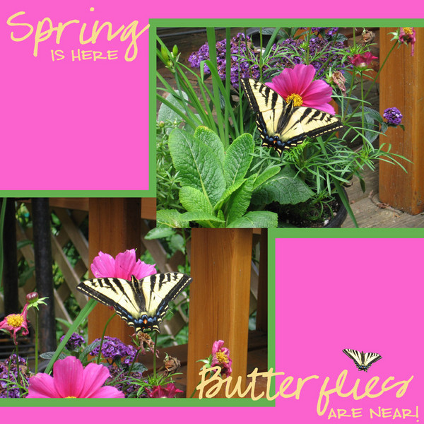 Spring is Here