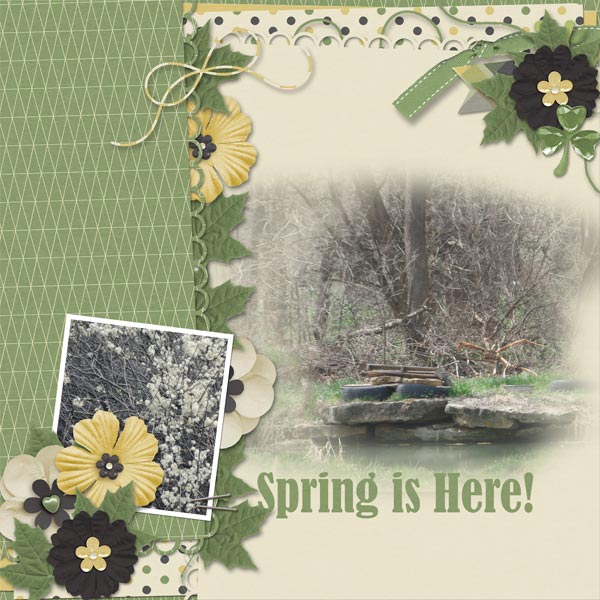 Spring Is Here!