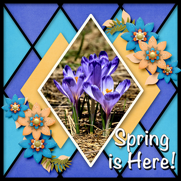 Spring Is Here!