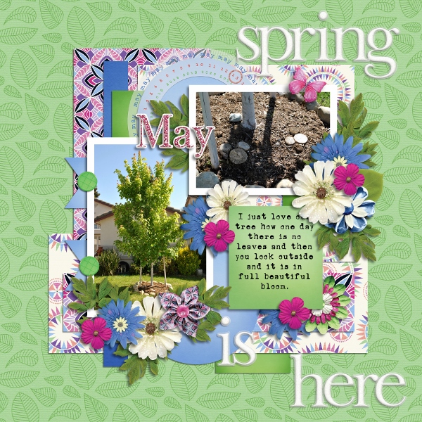 Spring Is Here