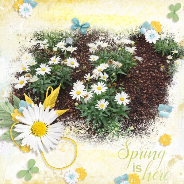 Spring is here
