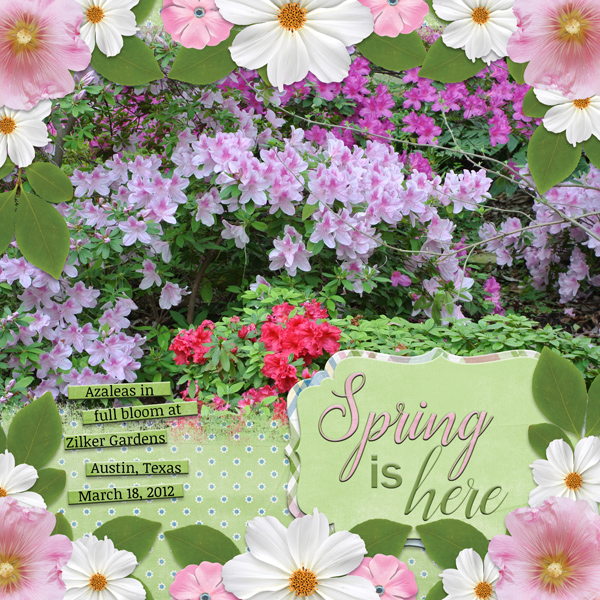 Spring is here!