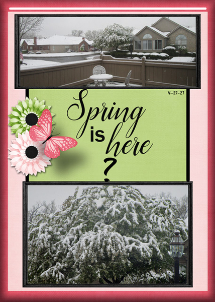Spring is here?