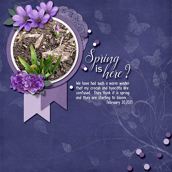 Spring is Here?