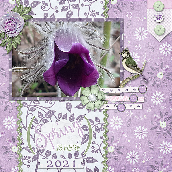 Spring Is Here